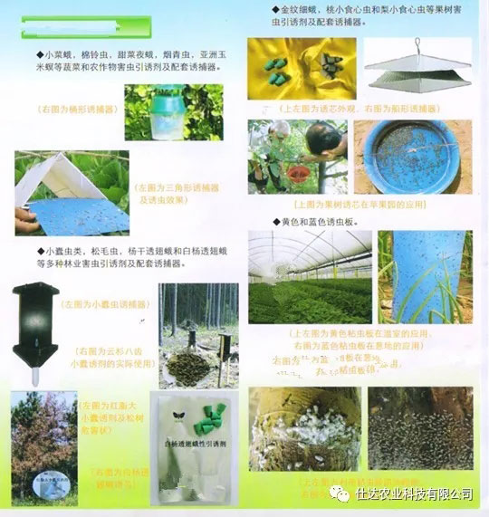 果樹(shù)害蟲(chóng)性信息素誘芯使用說(shuō)明