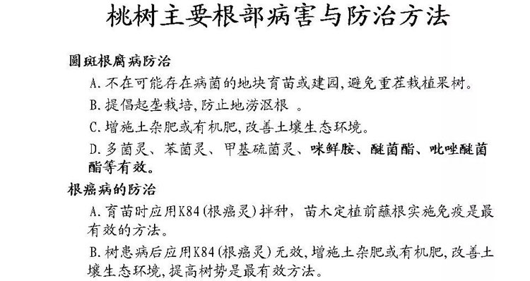 果樹(shù)病害防治技術(shù)