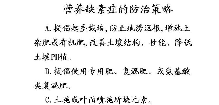 果樹(shù)病害防治技術(shù)