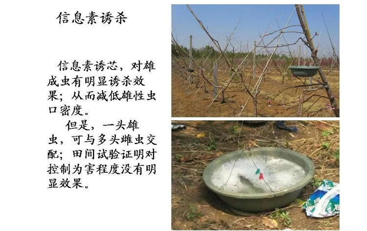 果樹(shù)病害防治技術(shù)