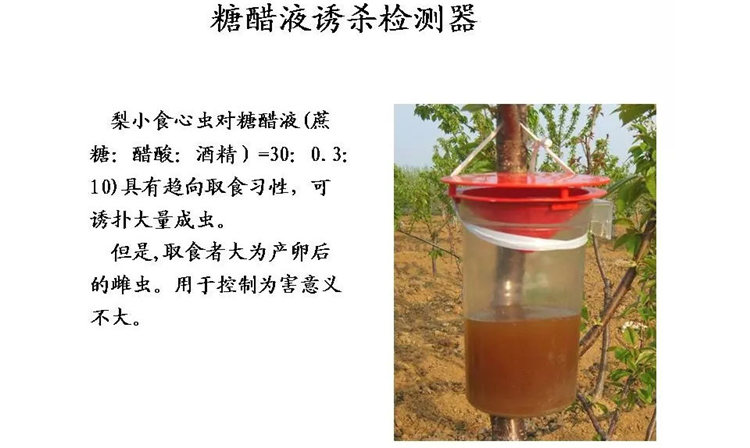 果樹(shù)病害防治技術(shù)