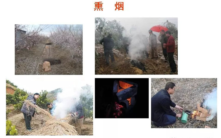 果樹(shù)病害防治技術(shù)