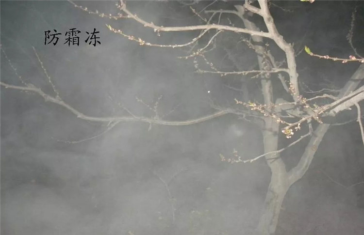 果樹(shù)病害防治技術(shù)