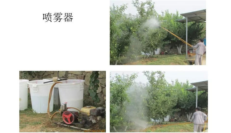 果樹(shù)病害防治技術(shù)