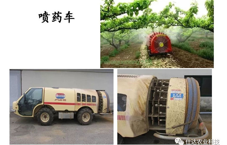 果樹(shù)病害防治技術(shù)