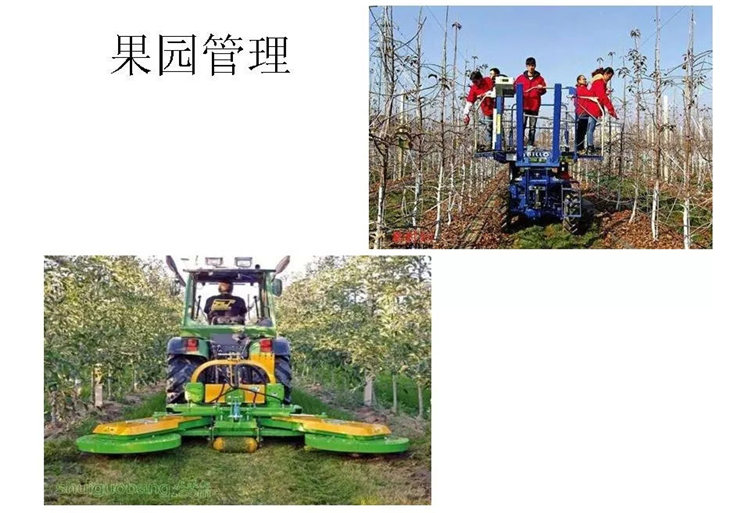 果樹(shù)病害防治技術(shù)