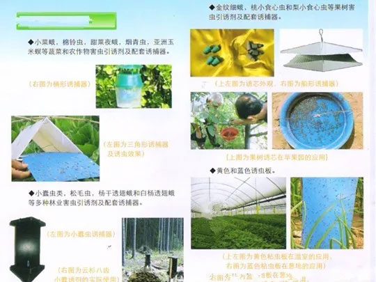 果樹(shù)害蟲(chóng)性信息素誘芯使用說(shuō)明