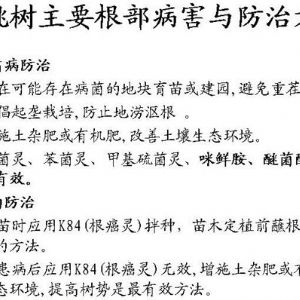 蘋(píng)果、桃、櫻桃主要病害防治技術(shù)