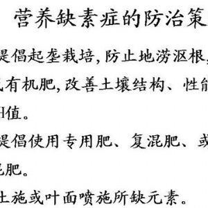 蘋(píng)果、桃、櫻桃主要病害防治技術(shù)