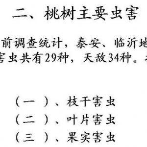 蘋(píng)果、桃、櫻桃主要病害防治技術(shù)