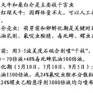 蘋(píng)果、桃、櫻桃主要病害防治技術(shù)