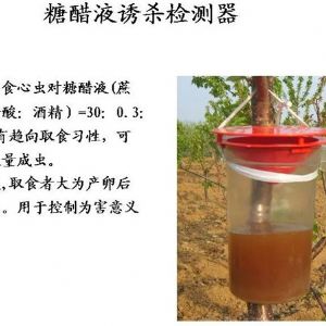 蘋(píng)果、桃、櫻桃主要病害防治技術(shù)