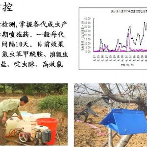 蘋(píng)果、桃、櫻桃主要病害防治技術(shù)