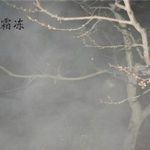 蘋(píng)果、桃、櫻桃主要病害防治技術(shù)