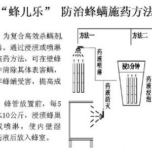蘋(píng)果、桃、櫻桃主要病害防治技術(shù)