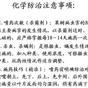 蘋(píng)果、桃、櫻桃主要病害防治技術(shù)