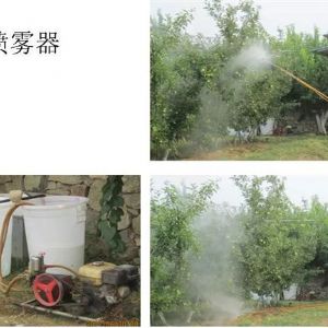 蘋(píng)果、桃、櫻桃主要病害防治技術(shù)