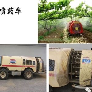 蘋(píng)果、桃、櫻桃主要病害防治技術(shù)
