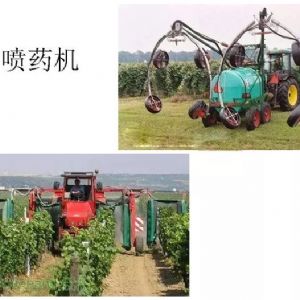 蘋(píng)果、桃、櫻桃主要病害防治技術(shù)