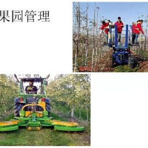 蘋(píng)果、桃、櫻桃主要病害防治技術(shù)